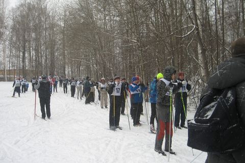 Лыжи01