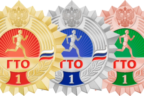 IX = Логотип ГТО