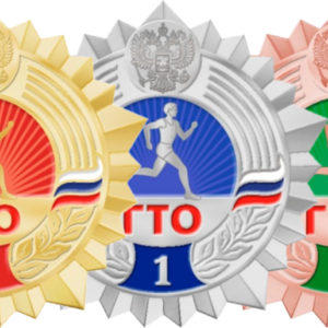 IX = Логотип ГТО